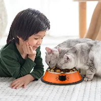 Amylove Cat Bowls for Food and Water Cat Dishes Stainless Steel Pet, frame 3
